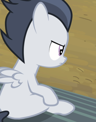 Size: 738x937 | Tagged: safe, screencap, character:rumble, species:pegasus, species:pony, episode:marks and recreation, g4, my little pony: friendship is magic, bleachers, colt, cropped, male, rear view, sitting, unamused