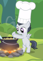 Size: 412x577 | Tagged: safe, screencap, character:rumble, species:pegasus, species:pony, episode:marks and recreation, g4, my little pony: friendship is magic, bipedal, chef's hat, clothing, colt, cooking, cropped, hat, male, pot, smiling, toque