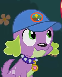 Size: 343x420 | Tagged: safe, screencap, character:spike, character:spike (dog), species:dog, equestria girls:legend of everfree, g4, my little pony:equestria girls, cap, clothing, cropped, hat, smiling, spike's dog collar, tail