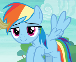 Size: 1134x936 | Tagged: safe, screencap, character:rainbow dash, species:pegasus, species:pony, episode:non-compete clause, g4, my little pony: friendship is magic, cropped, female, flying, lidded eyes, mare, missing cutie mark, smiling, spread wings, wings
