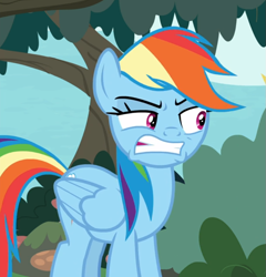 Size: 791x825 | Tagged: safe, screencap, character:rainbow dash, species:pegasus, species:pony, episode:non-compete clause, g4, my little pony: friendship is magic, angry, cropped, female, gritted teeth, mare
