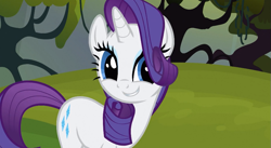 Size: 853x467 | Tagged: safe, screencap, character:rarity, species:pony, species:unicorn, episode:spike at your service, g4, my little pony: friendship is magic, female, mare, smiling
