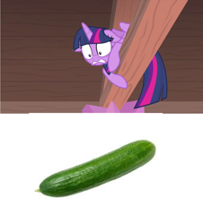 Size: 1281x1420 | Tagged: safe, screencap, character:twilight sparkle, character:twilight sparkle (alicorn), species:alicorn, species:pony, episode:starlight the hypnotist, behaving like a cat, cat scared of cucumber, cucumber, floppy ears, food, scared, shrunken pupils, solo, terrified
