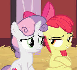 Size: 1013x914 | Tagged: safe, screencap, character:apple bloom, character:sweetie belle, species:earth pony, species:pony, species:unicorn, episode:the break up break down, bow, cropped, crossed hooves, duo, female, filly, hair bow, lidded eyes, looking at each other, raised eyebrow, sitting