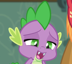 Size: 636x565 | Tagged: safe, screencap, character:spike, species:dragon, episode:the break up break down, baby, baby dragon, cropped, cute, fangs, lidded eyes, male, offscreen character, open mouth, solo focus, spikabetes, sweet apple acres