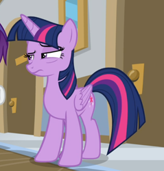 Size: 680x712 | Tagged: safe, screencap, character:twilight sparkle, character:twilight sparkle (alicorn), species:alicorn, species:pony, episode:friendship university, g4, my little pony: friendship is magic, cropped, female, raised eyebrow, solo focus, unamused