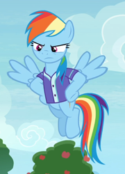 Size: 542x751 | Tagged: safe, screencap, character:rainbow dash, species:pegasus, species:pony, episode:the end in friend, g4, my little pony: friendship is magic, clothing, cropped, female, flying, hooves on hips, jersey, mare, rainbow dash is not amused, solo, spread wings, unamused, wings