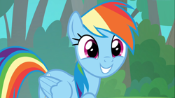Size: 1666x932 | Tagged: safe, screencap, character:rainbow dash, species:pegasus, species:pony, episode:the end in friend, g4, my little pony: friendship is magic, cute, dashabetes, female, mare, smiling, solo