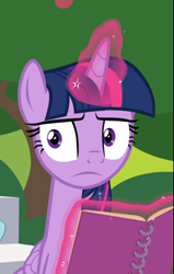 Size: 553x867 | Tagged: safe, screencap, character:twilight sparkle, character:twilight sparkle (alicorn), species:alicorn, species:pony, episode:the end in friend, g4, my little pony: friendship is magic, cropped, female, glowing horn, levitation, magic, notebook, shocked, sitting, solo, telekinesis, wide eyes