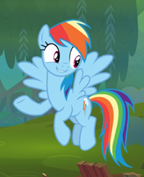 Size: 511x629 | Tagged: safe, screencap, character:rainbow dash, species:pegasus, species:pony, episode:the end in friend, g4, my little pony: friendship is magic, cropped, cute, female, flying, smiling, solo