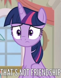 Size: 828x1061 | Tagged: safe, screencap, character:twilight sparkle, character:twilight sparkle (alicorn), species:alicorn, species:pony, episode:the end in friend, g4, my little pony: friendship is magic, caption, female, image macro, meme, reaction image, sitting, solo, text