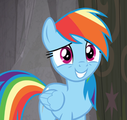 Size: 989x936 | Tagged: safe, screencap, character:rainbow dash, species:pegasus, species:pony, episode:the end in friend, g4, my little pony: friendship is magic, cropped, female, smiling, solo