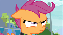 Size: 1667x937 | Tagged: safe, screencap, character:scootaloo, species:pegasus, species:pony, episode:the washouts, g4, my little pony: friendship is magic, close-up, clothing, female, filly, foal, glare, scootaloo is not amused, scowl, solo, stern, unamused, uniform, washouts uniform