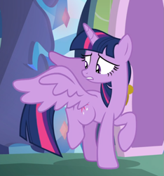 Size: 709x757 | Tagged: safe, screencap, character:twilight sparkle, character:twilight sparkle (alicorn), species:alicorn, species:pony, episode:father knows beast, g4, my little pony: friendship is magic, cropped, female, raised hoof, raised leg, solo, spread wings, wings