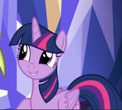 Size: 763x687 | Tagged: safe, screencap, character:twilight sparkle, character:twilight sparkle (alicorn), species:alicorn, species:pony, episode:father knows beast, g4, my little pony: friendship is magic, cropped, cute, female, smiling, solo, twiabetes