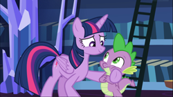 Size: 1669x938 | Tagged: safe, screencap, character:spike, character:twilight sparkle, character:twilight sparkle (alicorn), species:alicorn, species:dragon, species:pony, episode:father knows beast, g4, my little pony: friendship is magic, best friends, bookshelf, comforting, female, ladder, male, mare, smiling, winged spike
