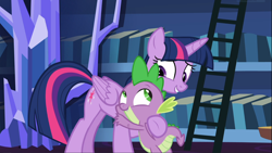 Size: 1668x938 | Tagged: safe, screencap, character:spike, character:twilight sparkle, character:twilight sparkle (alicorn), species:alicorn, species:dragon, species:pony, episode:father knows beast, g4, my little pony: friendship is magic, best friends, bookshelf, comforting, duo, female, hug, ladder, looking at each other, male, winged spike