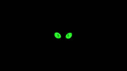 Size: 960x540 | Tagged: safe, screencap, character:spike, black background, eye, eyes, green eyes, simple background