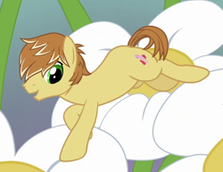 Size: 612x472 | Tagged: safe, screencap, character:feather bangs, species:earth pony, species:pony, episode:hard to say anything, g4, my little pony: friendship is magic, cropped, cutie mark, male