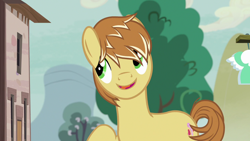 Size: 1280x720 | Tagged: safe, screencap, character:feather bangs, species:earth pony, species:pony, episode:hard to say anything, g4, my little pony: friendship is magic, cutie mark, male, smiling