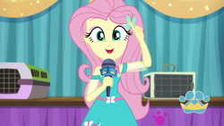 Size: 1920x1080 | Tagged: safe, screencap, character:fluttershy, episode:best in show: the pre-show, g4, my little pony:equestria girls, magical geodes, microphone