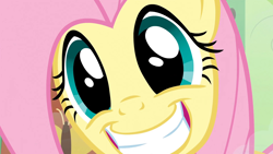 Size: 1920x1080 | Tagged: safe, screencap, character:fluttershy, species:pony, episode:a bird in the hoof, g4, my little pony: friendship is magic, cute, faec, grin, happy, smiling, solo