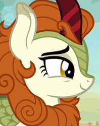 Size: 720x911 | Tagged: safe, screencap, character:autumn blaze, species:kirin, episode:sounds of silence, g4, my little pony: friendship is magic, cropped, solo