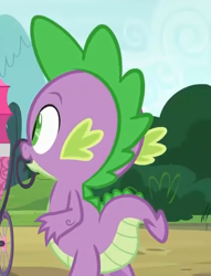 Size: 422x551 | Tagged: safe, screencap, character:spike, species:dragon, episode:a flurry of emotions, g4, my little pony: friendship is magic, claws, cropped, male, tail