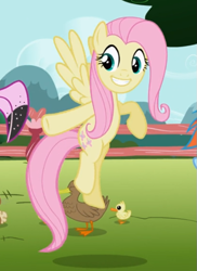 Size: 535x734 | Tagged: safe, screencap, character:fluttershy, species:duck, species:pegasus, species:pony, episode:may the best pet win, g4, my little pony: friendship is magic, cropped, female, flying, mare, pointing, raised hoof, smiling, solo focus, spread wings, teeth, wings
