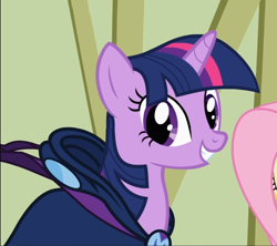 Size: 1054x938 | Tagged: safe, screencap, character:mare do well, character:twilight sparkle, character:twilight sparkle (unicorn), species:pony, species:unicorn, episode:the mysterious mare do well, g4, my little pony: friendship is magic, clothing, costume, cropped, female, smiling, solo focus