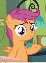 Size: 557x749 | Tagged: safe, screencap, character:scootaloo, species:pegasus, species:pony, episode:family appreciation day, g4, my little pony: friendship is magic, bipedal, cropped, female, filly, smiling, solo, underhoof