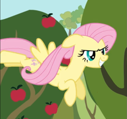 Size: 567x533 | Tagged: safe, screencap, character:fluttershy, species:pegasus, species:pony, episode:the super speedy cider squeezy 6000, g4, my little pony: friendship is magic, apple tree, cropped, determined, female, floppy ears, flying, grin, mare, smiling, solo, tree