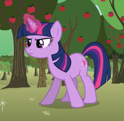 Size: 841x816 | Tagged: safe, screencap, character:twilight sparkle, character:twilight sparkle (unicorn), species:pony, species:unicorn, episode:the super speedy cider squeezy 6000, g4, my little pony: friendship is magic, apple tree, cropped, female, glowing horn, mare, solo, tree