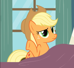 Size: 882x804 | Tagged: safe, screencap, character:applejack, species:earth pony, species:pony, episode:read it and weep, g4, my little pony: friendship is magic, cropped, female, freckles, mare, raised hoof, shrug, solo, underhoof
