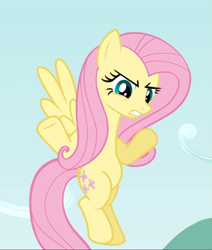 Size: 795x938 | Tagged: safe, screencap, character:fluttershy, species:pegasus, species:pony, episode:putting your hoof down, g4, my little pony: friendship is magic, cropped, female, fluttershy is not amused, flying, mare, solo, spread wings, unamused, wings