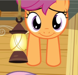 Size: 372x362 | Tagged: safe, screencap, character:scootaloo, character:sweetie belle, species:pegasus, species:pony, species:unicorn, episode:one bad apple, g4, my little pony: friendship is magic, cropped, cute, cutealoo, female, filly, hanging, hanging upside down, lantern, looking at you, offscreen character, smiling, solo, solo focus, upside down