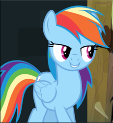Size: 865x942 | Tagged: safe, screencap, character:rainbow dash, species:pegasus, species:pony, episode:daring don't, g4, my little pony: friendship is magic, cropped, female, lidded eyes, mare, smiling, smirk, solo