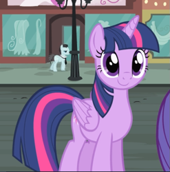 Size: 605x612 | Tagged: safe, screencap, character:bruce mane, character:twilight sparkle, character:twilight sparkle (alicorn), species:alicorn, species:pony, episode:rarity takes manehattan, g4, my little pony: friendship is magic, cropped, cute, offscreen character, smiling, solo focus, twiabetes