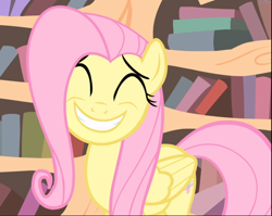 Size: 1178x939 | Tagged: safe, screencap, character:fluttershy, species:pegasus, species:pony, episode:three's a crowd, g4, my little pony: friendship is magic, big smile, cropped, cute, eyes closed, female, golden oaks library, grin, mare, shyabetes, smiling, solo