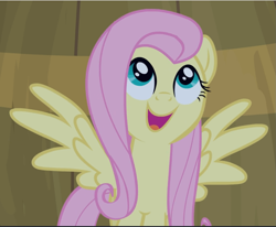 Size: 1143x943 | Tagged: safe, screencap, character:fluttershy, species:pegasus, species:pony, episode:filli vanilli, g4, my little pony: friendship is magic, barrel, cropped, cute, female, looking up, mare, open mouth, shyabetes, smiling, solo, spread wings, wings