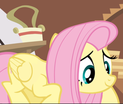 Size: 1110x941 | Tagged: safe, screencap, character:fluttershy, species:pegasus, species:pony, episode:it ain't easy being breezies, g4, my little pony: friendship is magic, cropped, crouching, cute, female, mare, shyabetes, smiling, solo