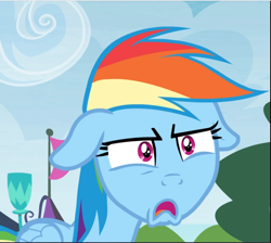 Size: 1051x943 | Tagged: safe, screencap, character:rainbow dash, species:pegasus, species:pony, episode:trade ya, g4, my little pony: friendship is magic, cropped, disappointed, faec, female, floppy ears, mare, narrowed eyes, open mouth, solo