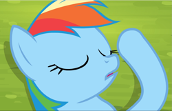 Size: 1461x940 | Tagged: safe, screencap, character:rainbow dash, species:pegasus, species:pony, episode:trade ya, g4, my little pony: friendship is magic, close-up, cropped, eyes closed, female, mare, open mouth, solo, unconscious