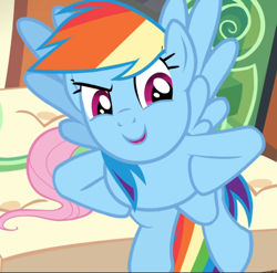 Size: 950x939 | Tagged: safe, screencap, character:fluttershy, character:rainbow dash, species:pegasus, species:pony, episode:trade ya, g4, my little pony: friendship is magic, cropped, female, flying, mare, offscreen character, open mouth, solo focus, spread wings, wings