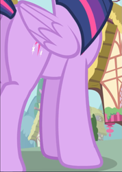 Size: 667x939 | Tagged: safe, screencap, character:twilight sparkle, character:twilight sparkle (alicorn), species:alicorn, species:pony, episode:inspiration manifestation, g4, my little pony: friendship is magic, cropped, legs, pictures of legs, plot, solo
