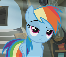 Size: 1027x896 | Tagged: safe, screencap, character:rainbow dash, species:pegasus, species:pony, episode:the lost treasure of griffonstone, g4, my little pony: friendship is magic, are you kidding me, cropped, displeased, female, folded wings, frown, griffonstone, lidded eyes, looking at someone, magenta eyes, mare, multicolored hair, narrowed eyes, rainbow dash is not amused, raised eyebrow, shop, solo, unamused