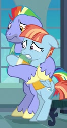 Size: 323x610 | Tagged: safe, screencap, character:bow hothoof, character:windy whistles, species:pony, episode:parental glideance, g4, my little pony: friendship is magic, female, husband and wife, male
