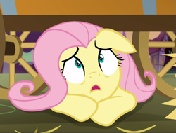 Size: 1121x852 | Tagged: safe, screencap, character:fluttershy, species:pegasus, species:pony, episode:scare master, g4, my little pony: friendship is magic, cropped, female, floppy ears, hiding, looking up, mare, scared, solo, wide eyes