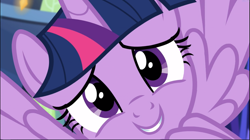 Size: 1671x939 | Tagged: safe, screencap, character:twilight sparkle, character:twilight sparkle (alicorn), species:alicorn, species:pony, episode:made in manehattan, g4, my little pony: friendship is magic, close-up, cropped, cute, looking at you, smiling, solo, twiabetes