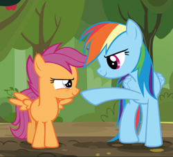 Size: 1005x913 | Tagged: safe, screencap, character:rainbow dash, character:scootaloo, species:pegasus, species:pony, episode:brotherhooves social, g4, my little pony: friendship is magic, confident, cropped, female, filly, looking at each other, mare, narrowed eyes, pointing, raised hoof, smiling, spread wings, wings
